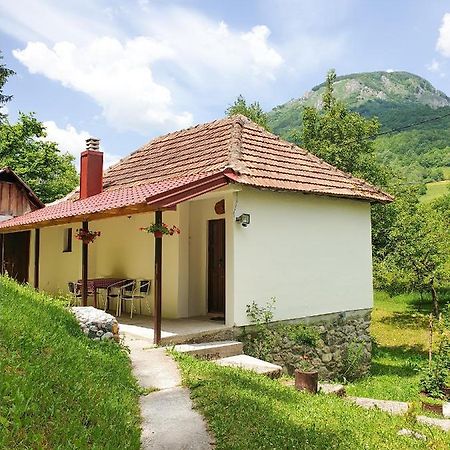 Farmstead Green Haven Mojkovac Extérieur photo