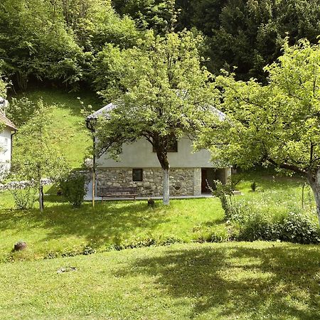 Farmstead Green Haven Mojkovac Extérieur photo